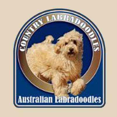 Country Labradoodles Logo