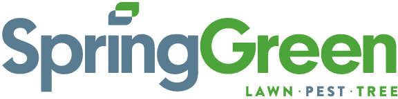 Spring-Green Lawn Care Logo