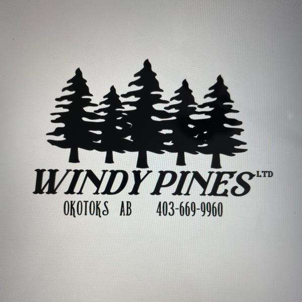 Windy Pines Ltd. Logo