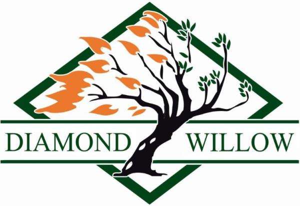 Diamond Willow Mechanical Logo