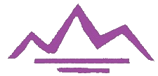Apex Property Services Inc. Logo