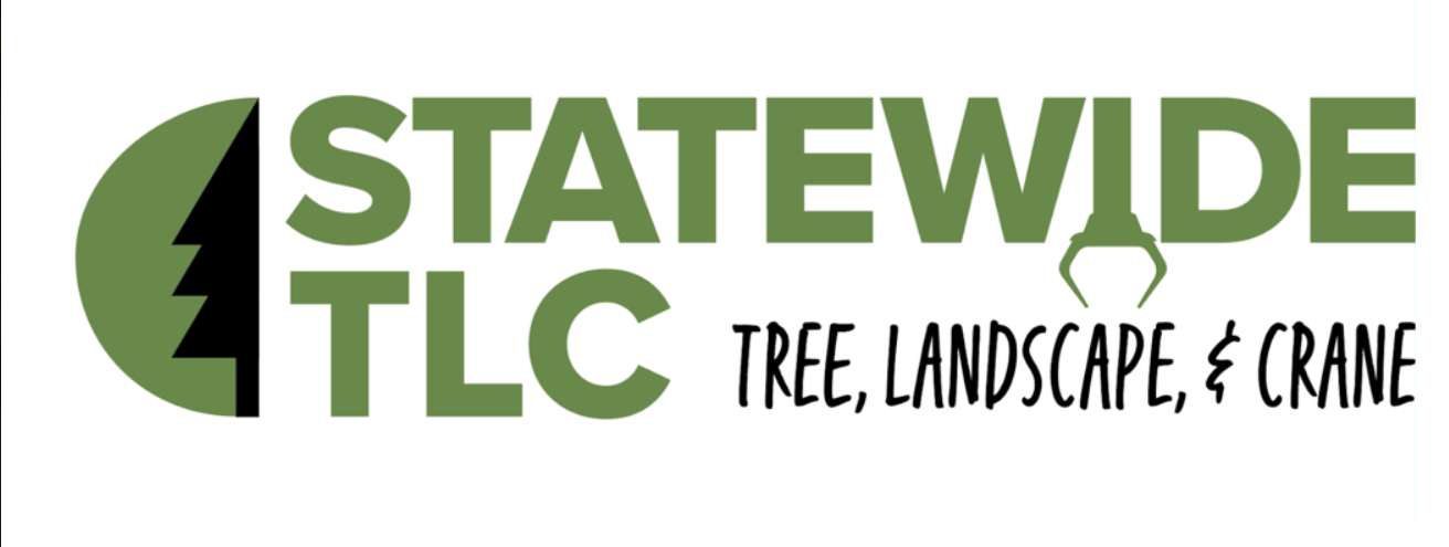 Statewide TLC Logo