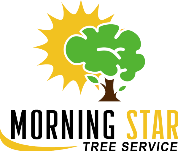 Morning Star Tree Service Logo