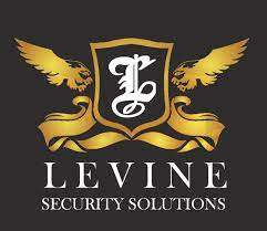 Levine Security Solutions, LLC Logo