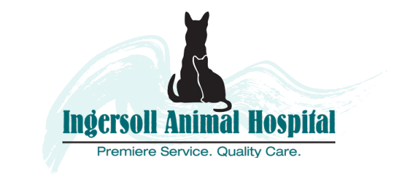 Ingersoll Animal Hospital Logo