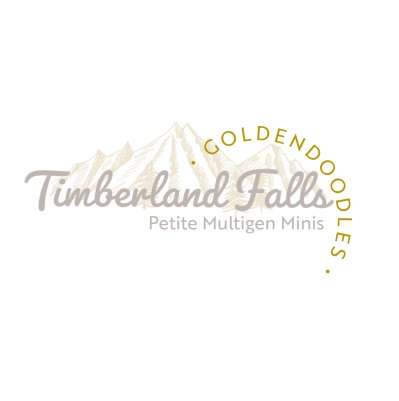 Timberland Falls Goldendoodles Logo
