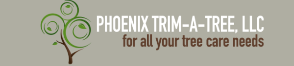 Phoenix Trim a Tree Logo