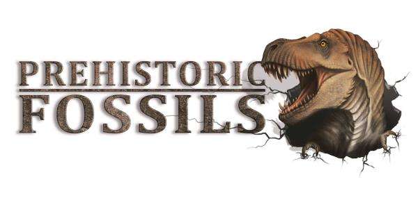 Prehistoric Fossils LLC Logo