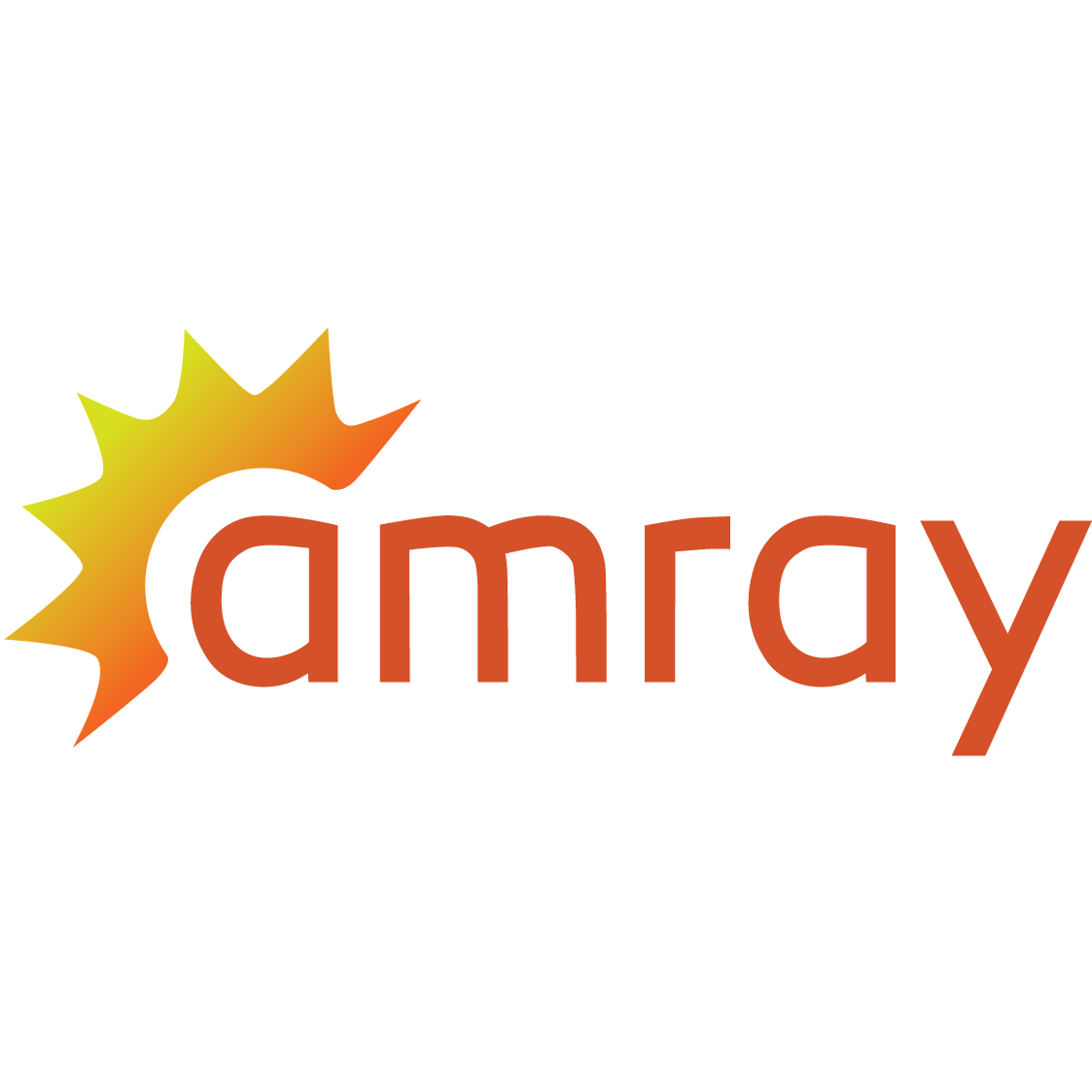 Am Ray Holdings International Ltd. Logo