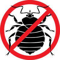 Bed Bug Guys Logo