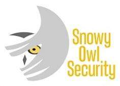 Snowy Owl Security, LLC Logo
