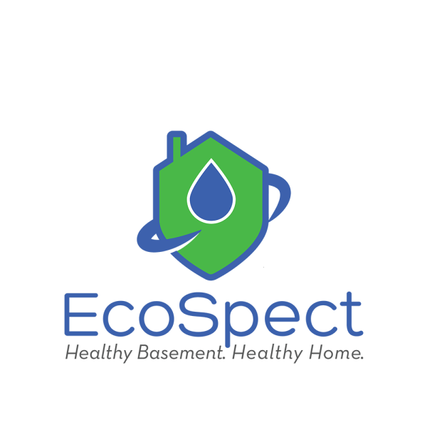 EcoSpect, Inc Logo