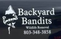 Backyard Bandits Wildlife Removal Logo