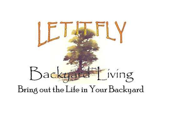 Let It Fly Backyard Living Logo