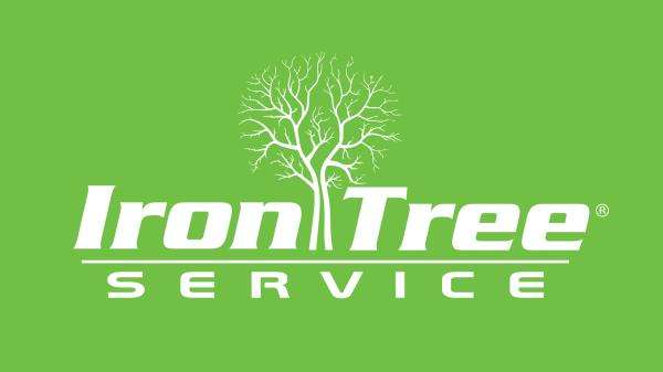 Iron Tree Service, LLC Logo