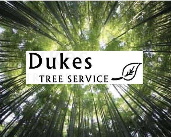 Duke's Tree Service & Got Snow 406 Logo