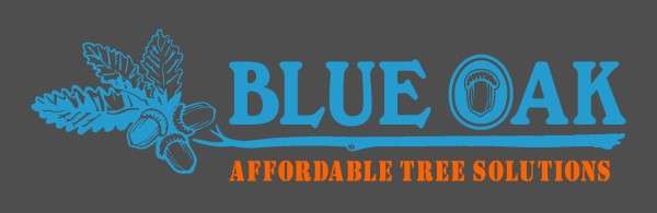 Blue Oak Affordable Tree Solutions, LLC Logo