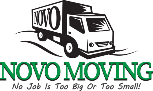 Novo Moving Logo