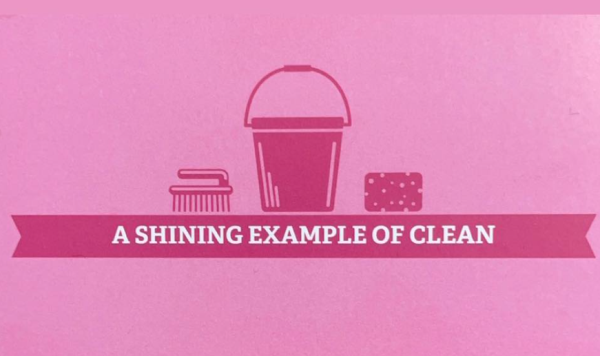 Shine Bright Your Cleaning and Organization Service, LLC Logo