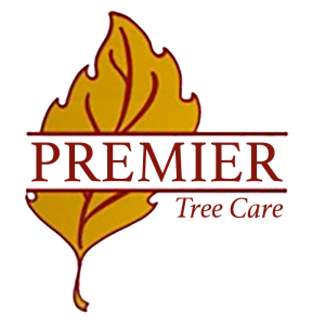 Premier Tree Care, LLC Logo