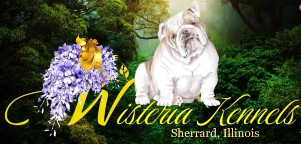 Wisteria Kennels and Pet Transportation Logo