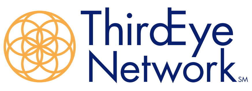 Third Eye Network, LLC Logo