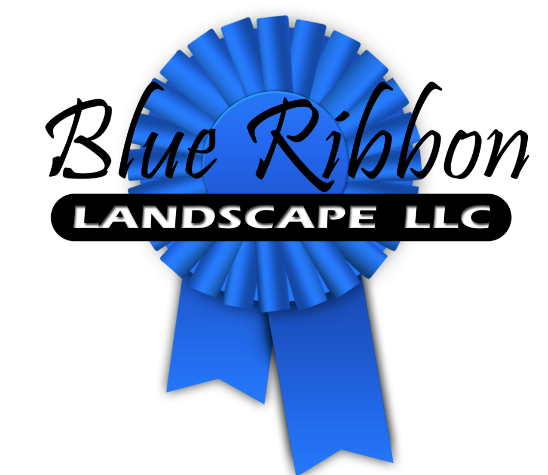 Blue Ribbon Landscape Logo