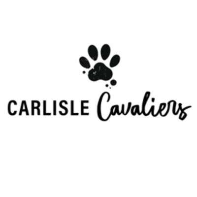 Carlisle Cavaliers LLC Logo