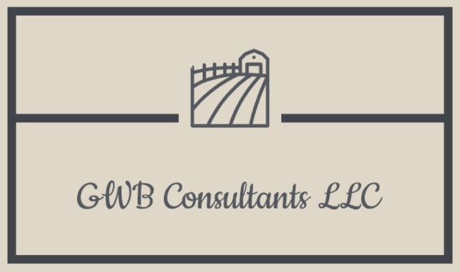 GWB Consultants LLC Logo