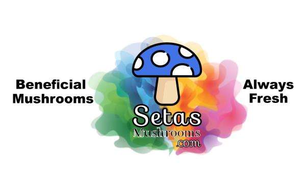 Setas Mushrooms LLC Logo