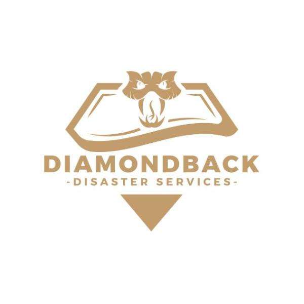 Diamondback Disaster Services LLC Logo