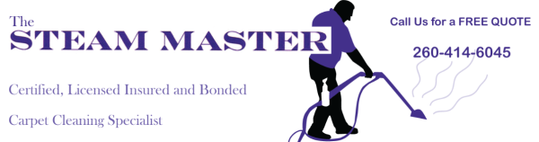 The Steam Master Logo