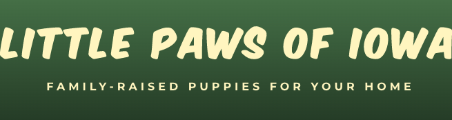 Little Paws of Iowa Logo