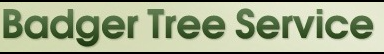 Badger Tree Service Logo