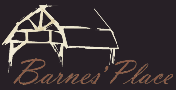 Barnes Place Logo