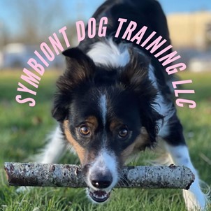 Symbiont Dog Training LLC Logo