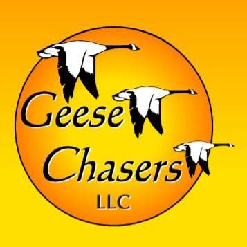 Geese Chasers NE Ohio Logo