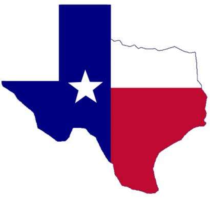 Texas Tax Chicks PLLC Logo