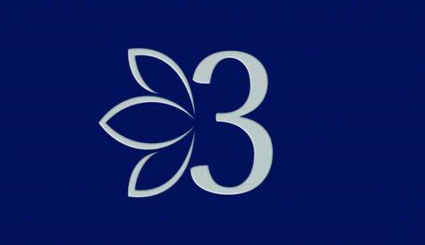 3 Lotus Construction Group Logo