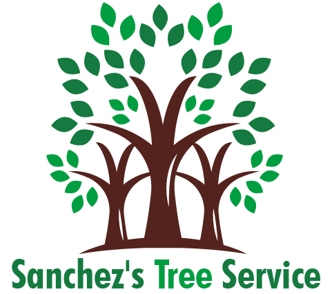 Sanchez's Tree Service Logo