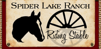 Spider Lake Ranch Riding Stable LLC Logo