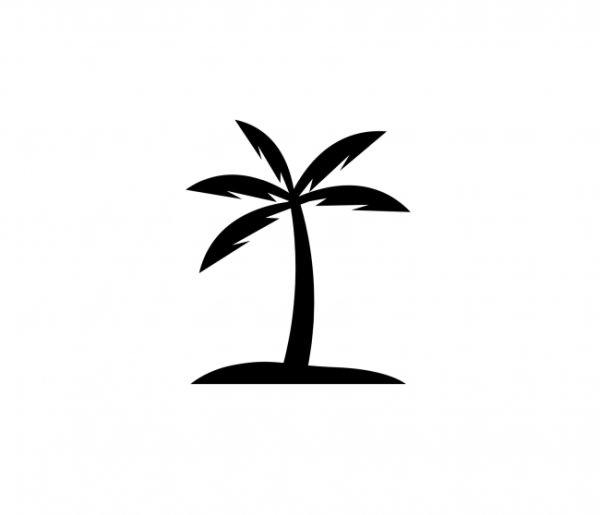 Palm Tree Flooring & Kitchens Logo