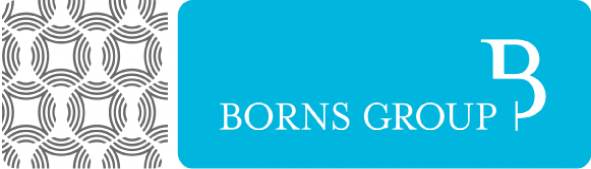 Borns Group, Inc. Logo