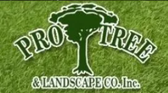 Pro Tree & Landscape Company, Inc. Logo