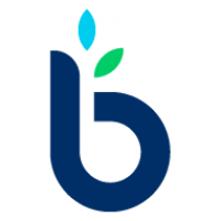 BusinessLoans.com Logo