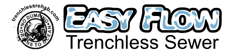 Easy Flow Logo