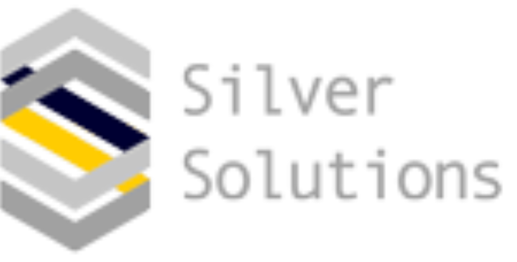 Silver Solutions, LLC Logo