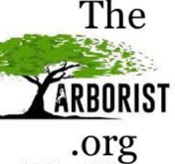 The Arborist  Logo