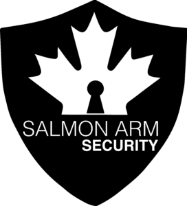 Vadium Security Inc. Logo