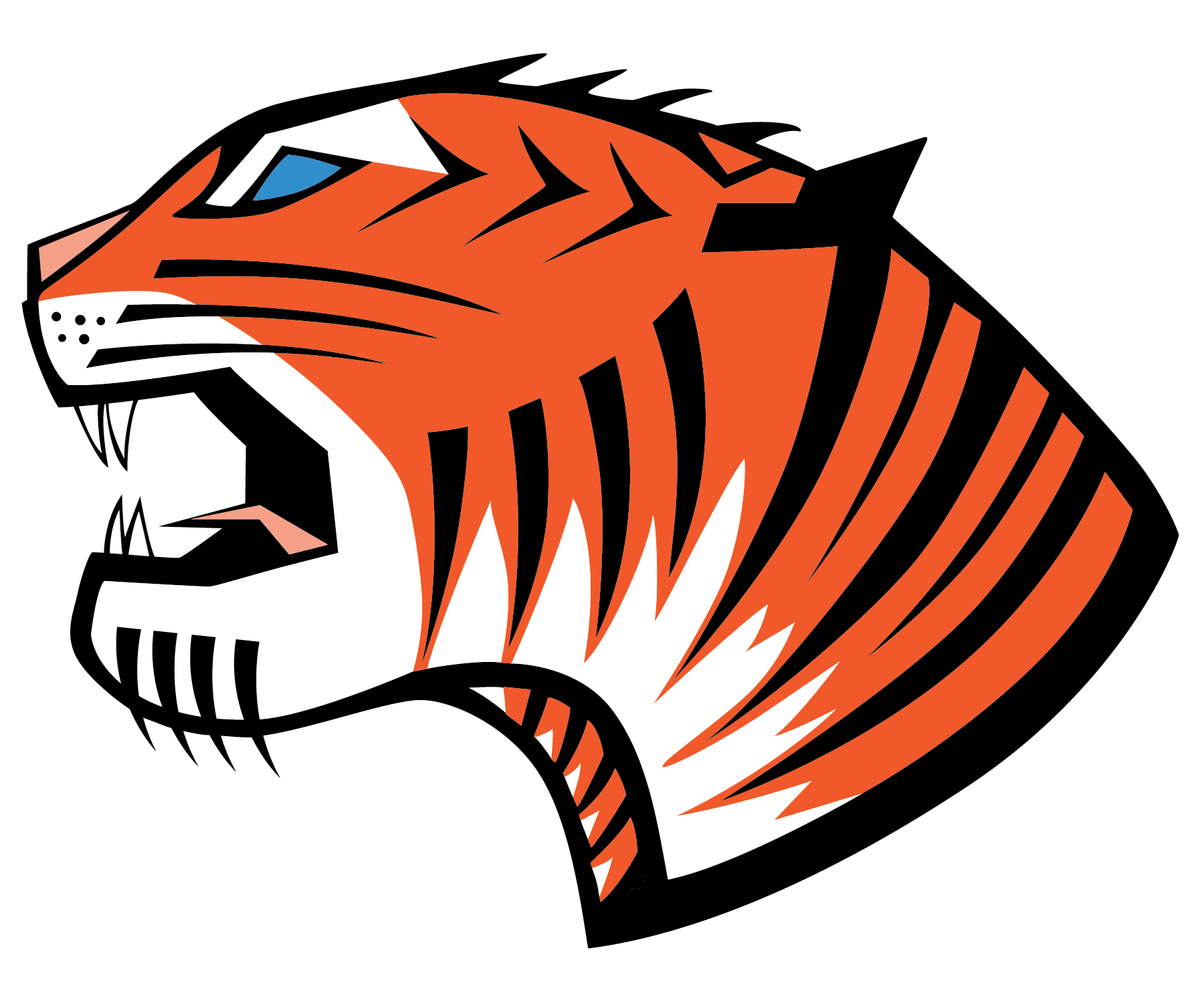 Tiger Granite and Marble  Logo